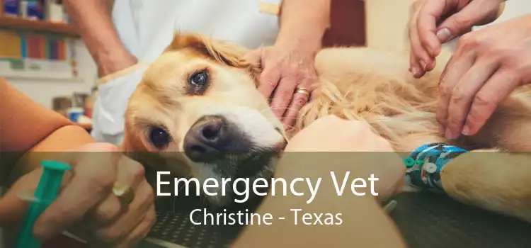 Emergency Vet Christine - Texas