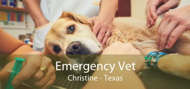 Emergency Vet Christine - Texas