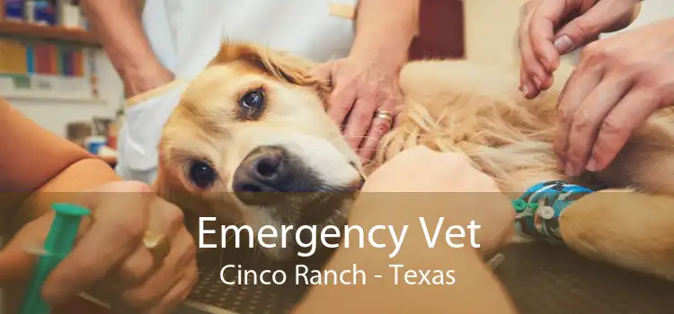 Emergency Vet Cinco Ranch - Texas