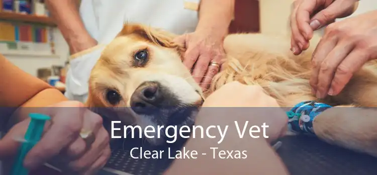 Emergency Vet Clear Lake - Texas