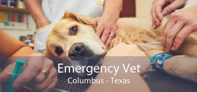 Emergency Vet Columbus - Texas