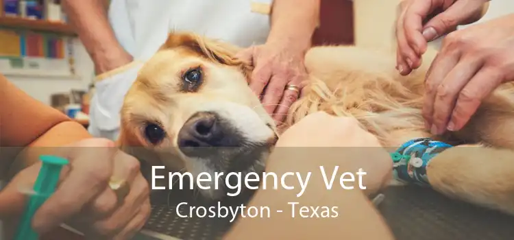 Emergency Vet Crosbyton - Texas