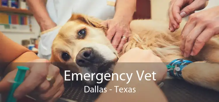 Emergency Vet Dallas - Texas