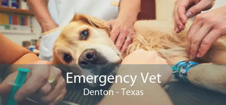 Emergency Vet Denton - Texas