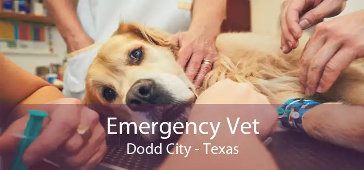 Emergency Vet Dodd City - Texas