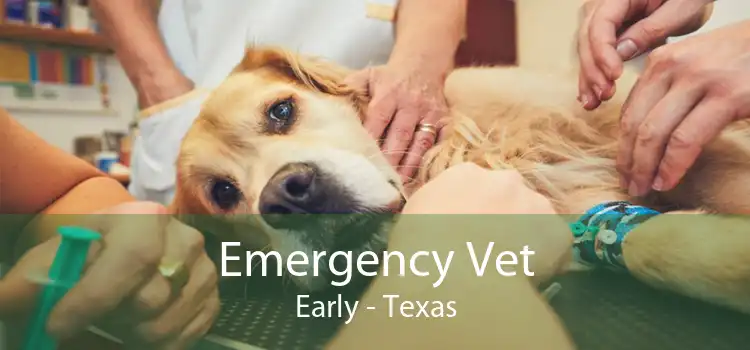 Emergency Vet Early - Texas