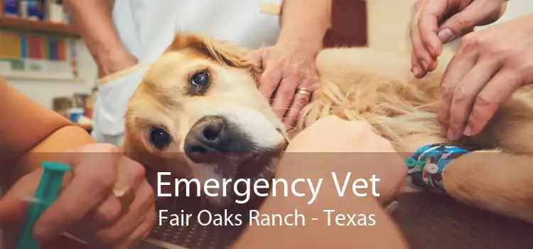 Emergency Vet Fair Oaks Ranch - Texas