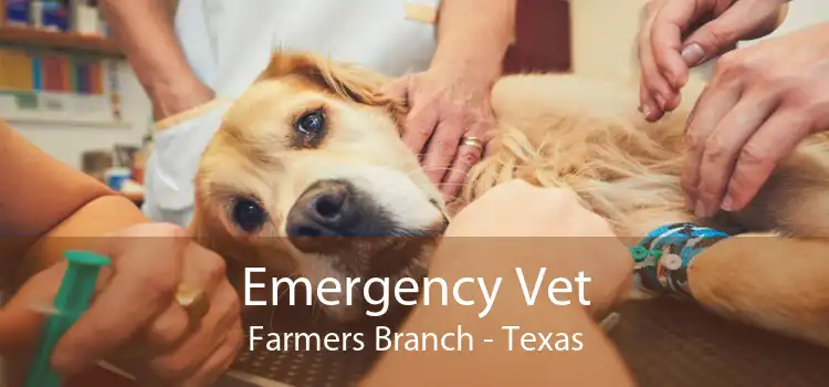 Emergency Vet Farmers Branch - Texas