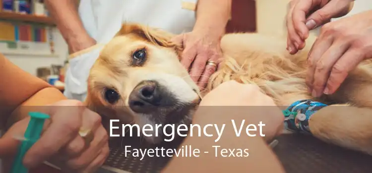 Emergency Vet Fayetteville - Texas