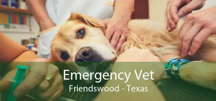 Emergency Vet Friendswood - Texas
