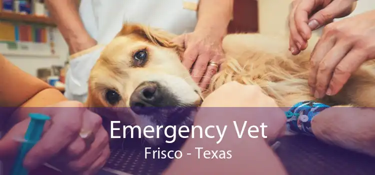 Emergency Vet Frisco - Texas