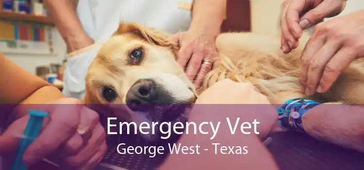Emergency Vet George West - Texas