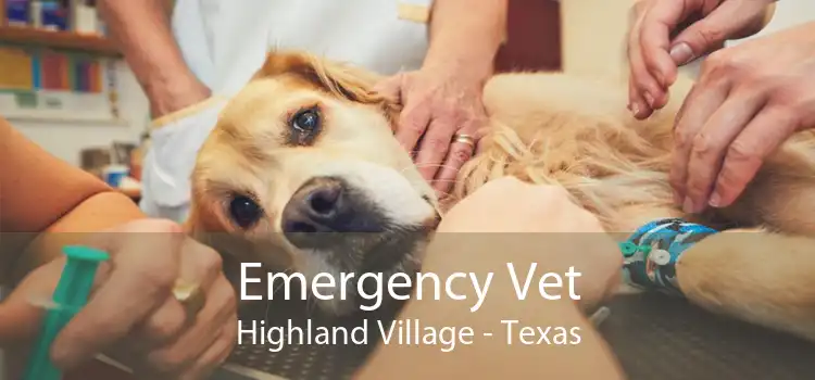 Emergency Vet Highland Village - Texas