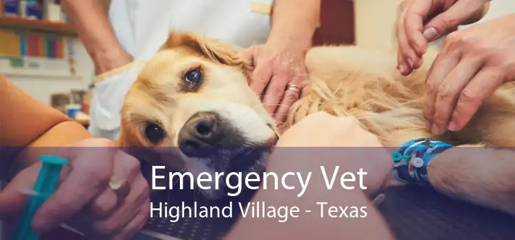 Emergency Vet Highland Village - Texas