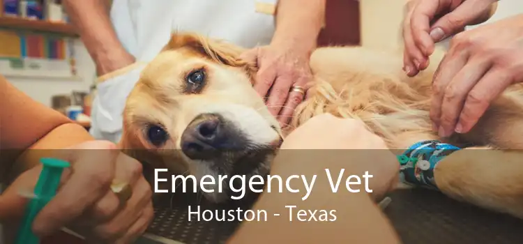 Emergency Vet Houston - Texas