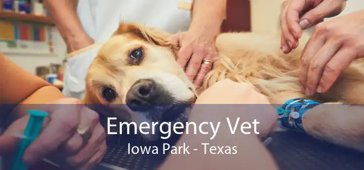 Emergency Vet Iowa Park - Texas