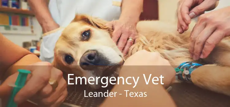 Emergency Vet Leander - Texas