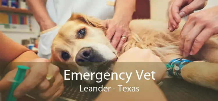 Emergency Vet Leander - Texas