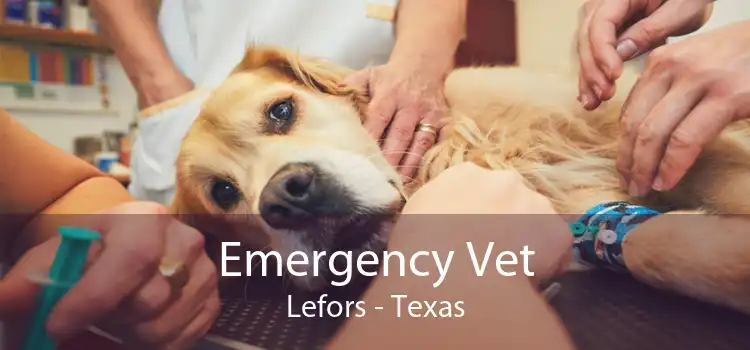 Emergency Vet Lefors - Texas