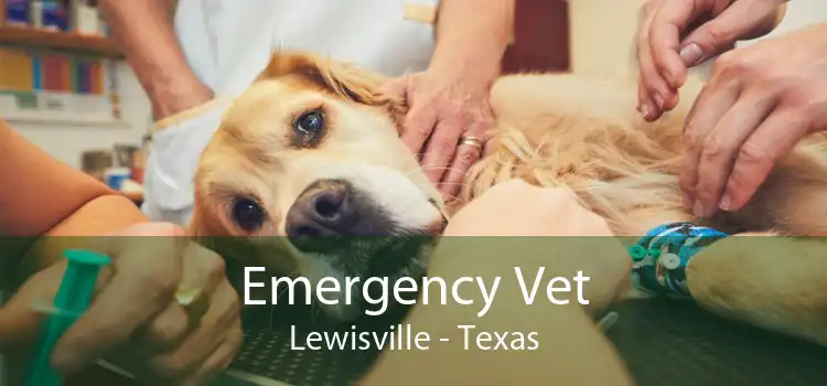 Emergency Vet Lewisville - Texas