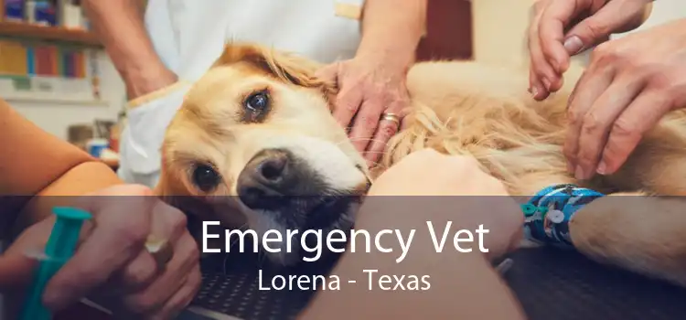 Emergency Vet Lorena - Texas