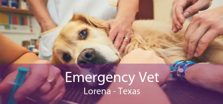 Emergency Vet Lorena - Texas