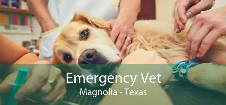 Emergency Vet Magnolia - Texas