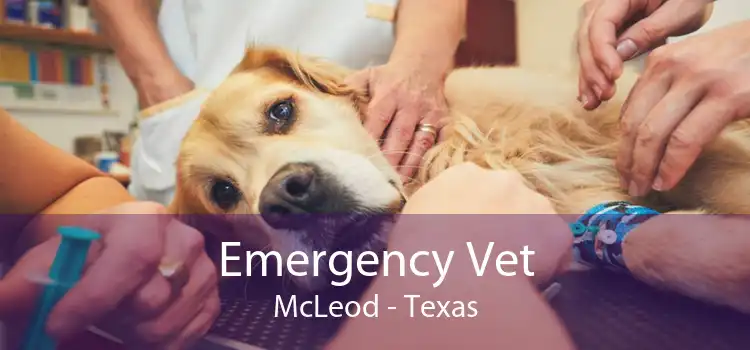 Emergency Vet McLeod - Texas