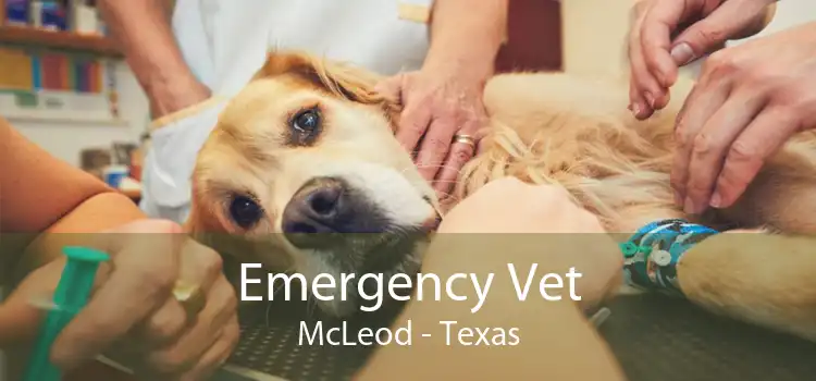 Emergency Vet McLeod - Texas