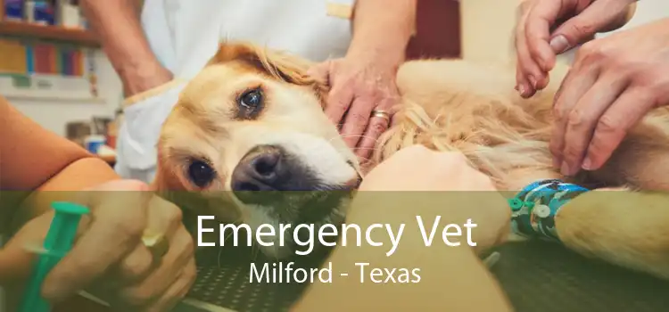 Emergency Vet Milford - Texas