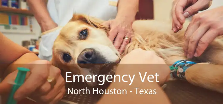 Emergency Vet North Houston - Texas