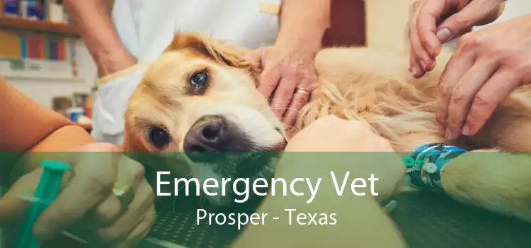 Emergency Vet Prosper - Texas