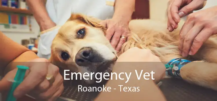 Emergency Vet Roanoke - Texas