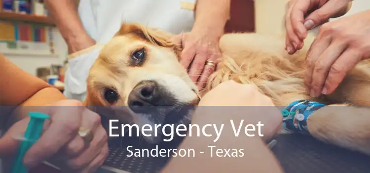 Emergency Vet Sanderson - Texas