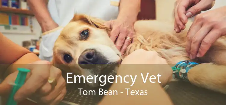 Emergency Vet Tom Bean - Texas