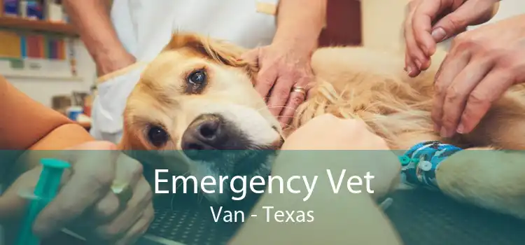 Emergency Vet Van - Texas