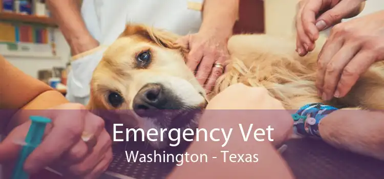 Emergency Vet Washington - Texas
