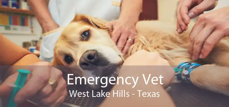 Emergency Vet West Lake Hills - Texas