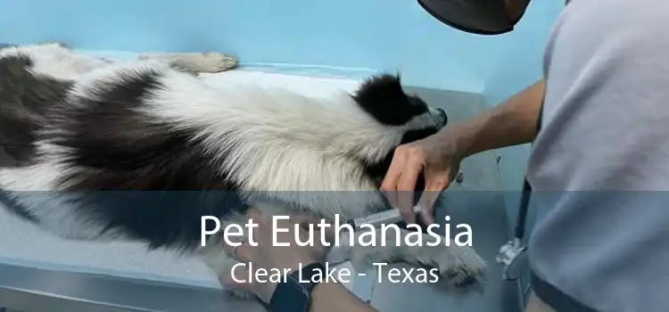 Pet Euthanasia Clear Lake - Texas