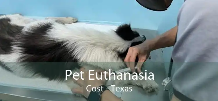 Pet Euthanasia Cost - Texas