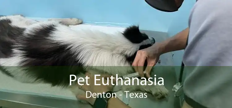 Pet Euthanasia Denton - Texas