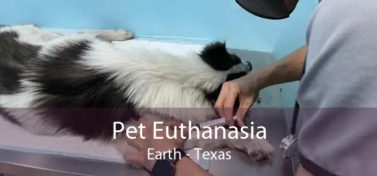 Pet Euthanasia Earth - Texas