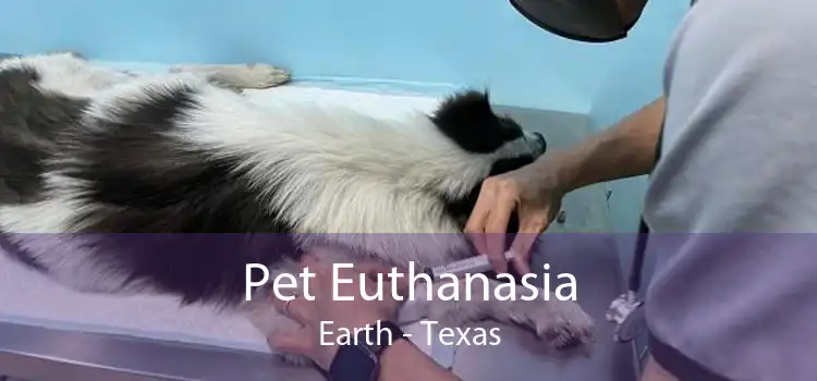 Pet Euthanasia Earth - Texas