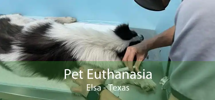 Pet Euthanasia Elsa - Texas