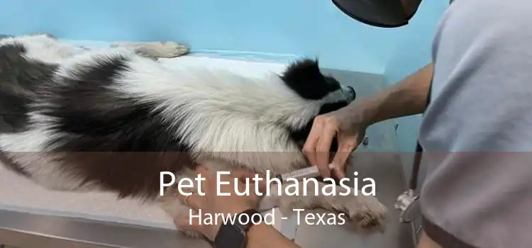 Pet Euthanasia Harwood - Texas