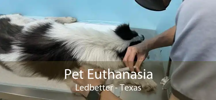 Pet Euthanasia Ledbetter - Texas