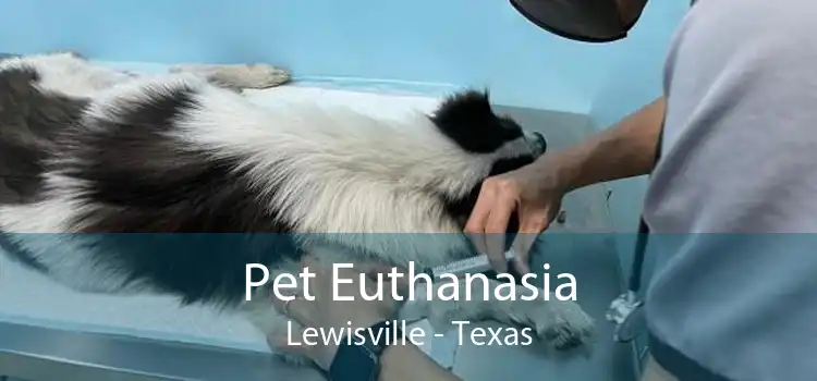 Pet Euthanasia Lewisville - Texas