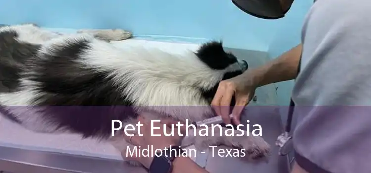 Pet Euthanasia Midlothian - Texas