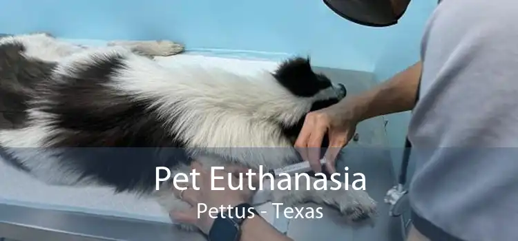 Pet Euthanasia Pettus - Texas