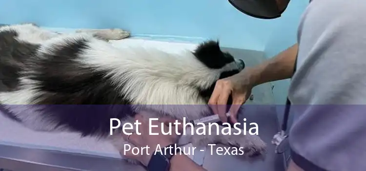 Pet Euthanasia Port Arthur - Texas